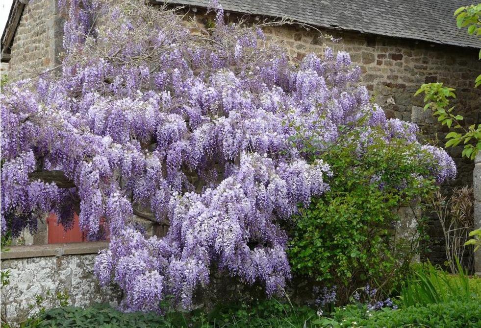 Le Clos Des Anges Dinge Exterior photo